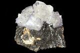 Cubic Fluorite Crystals on Sphalerite - Elmwood Mine #71939-1